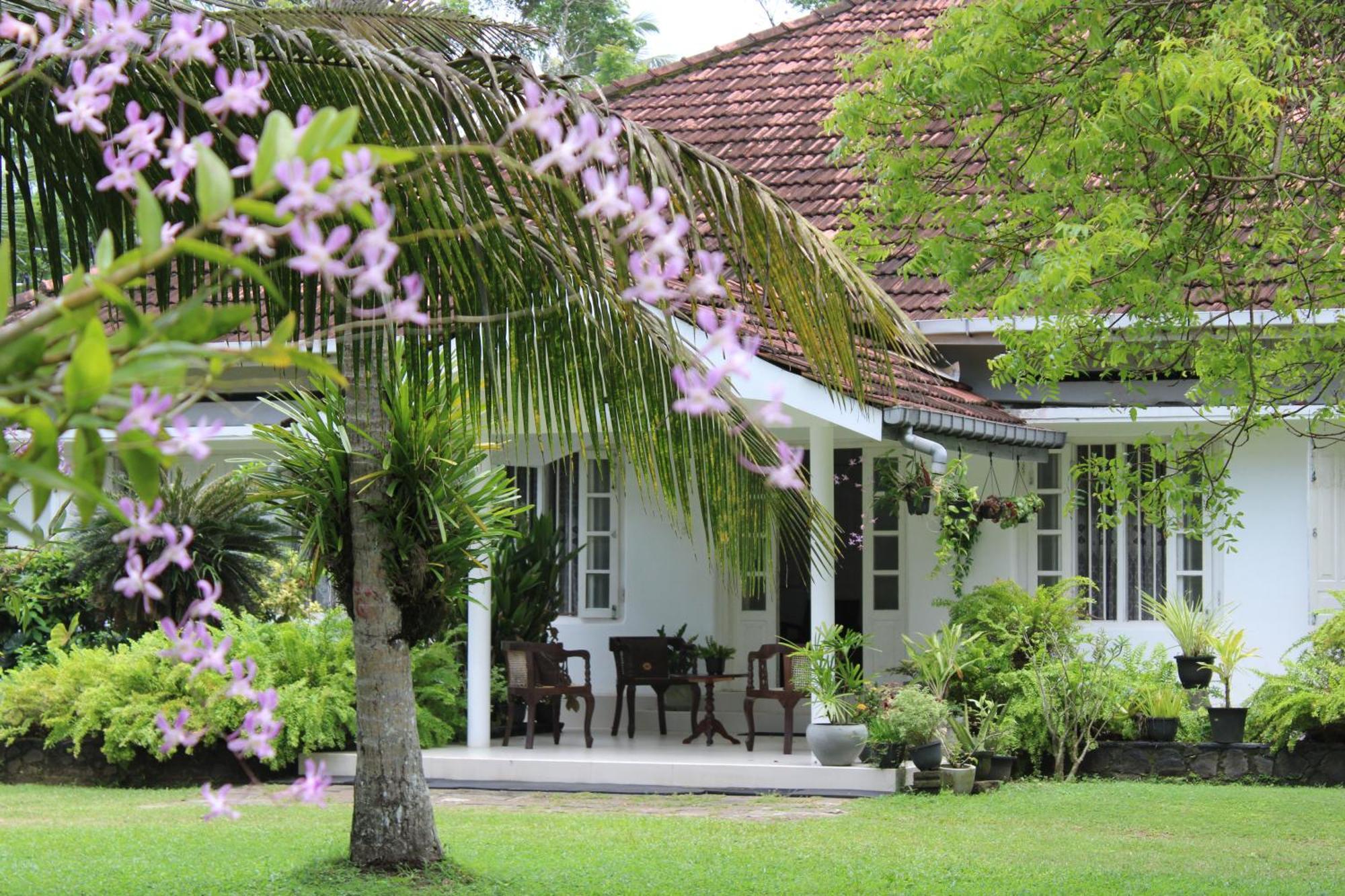Sun And Surf Rest Hotel Ahangama Exterior photo
